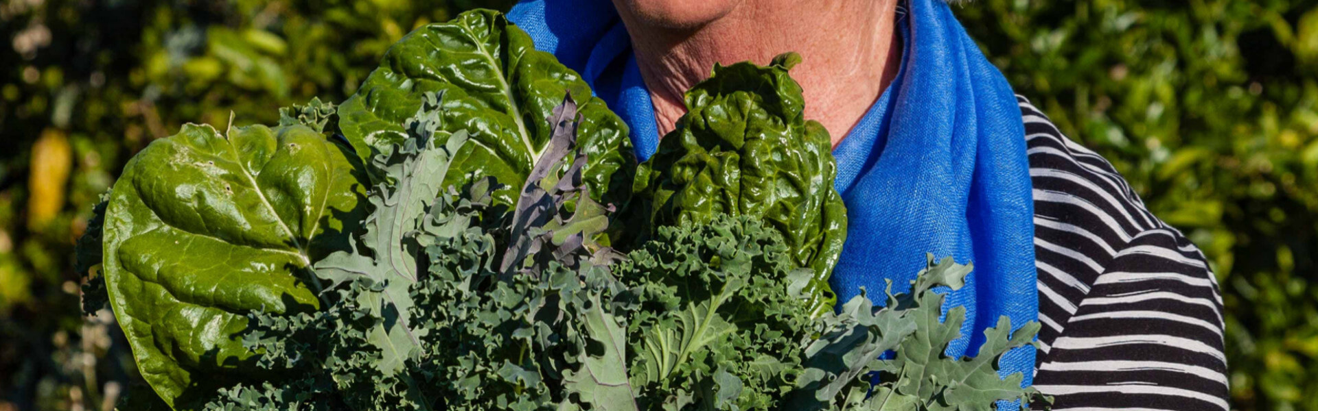 Harvesting Greens | Food Forest Garden | The River House Bingara