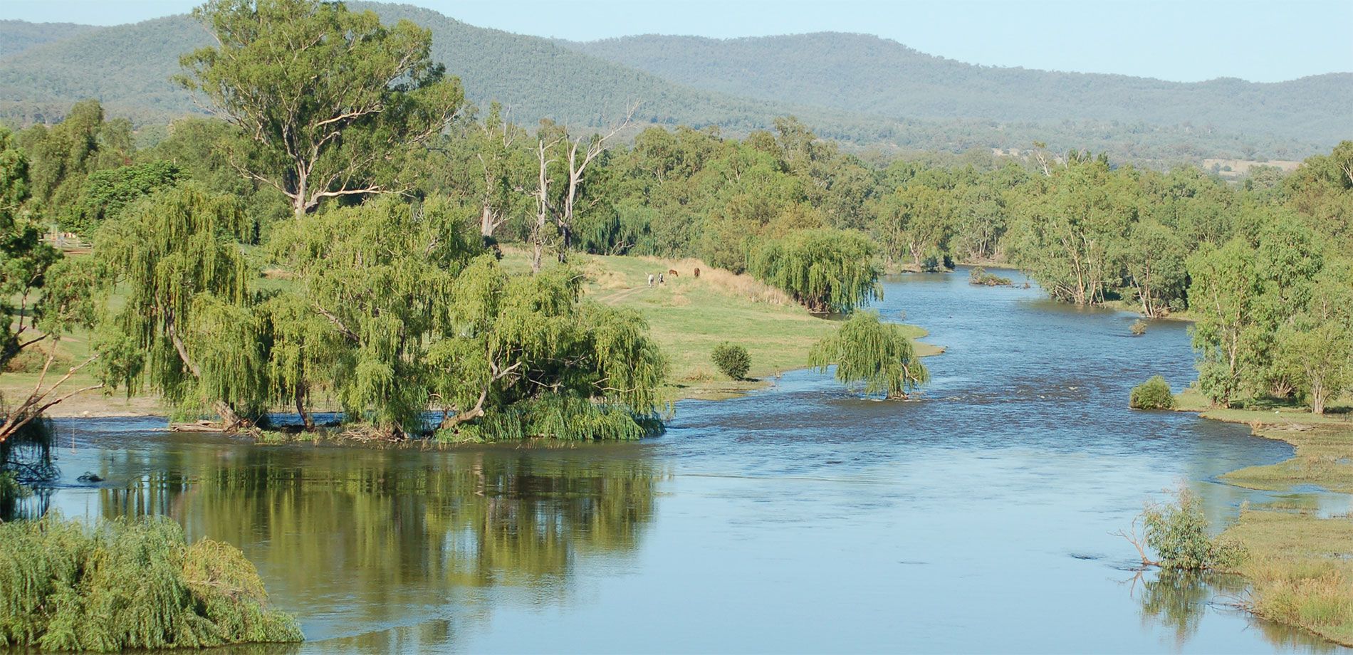 The River House The River House