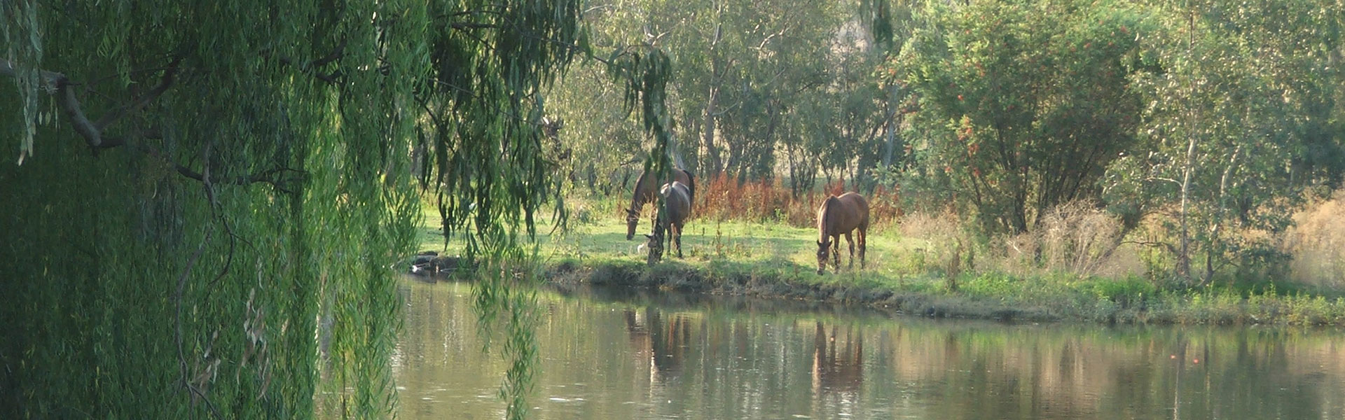 Activities and Attractions 2 | The River House Bingara